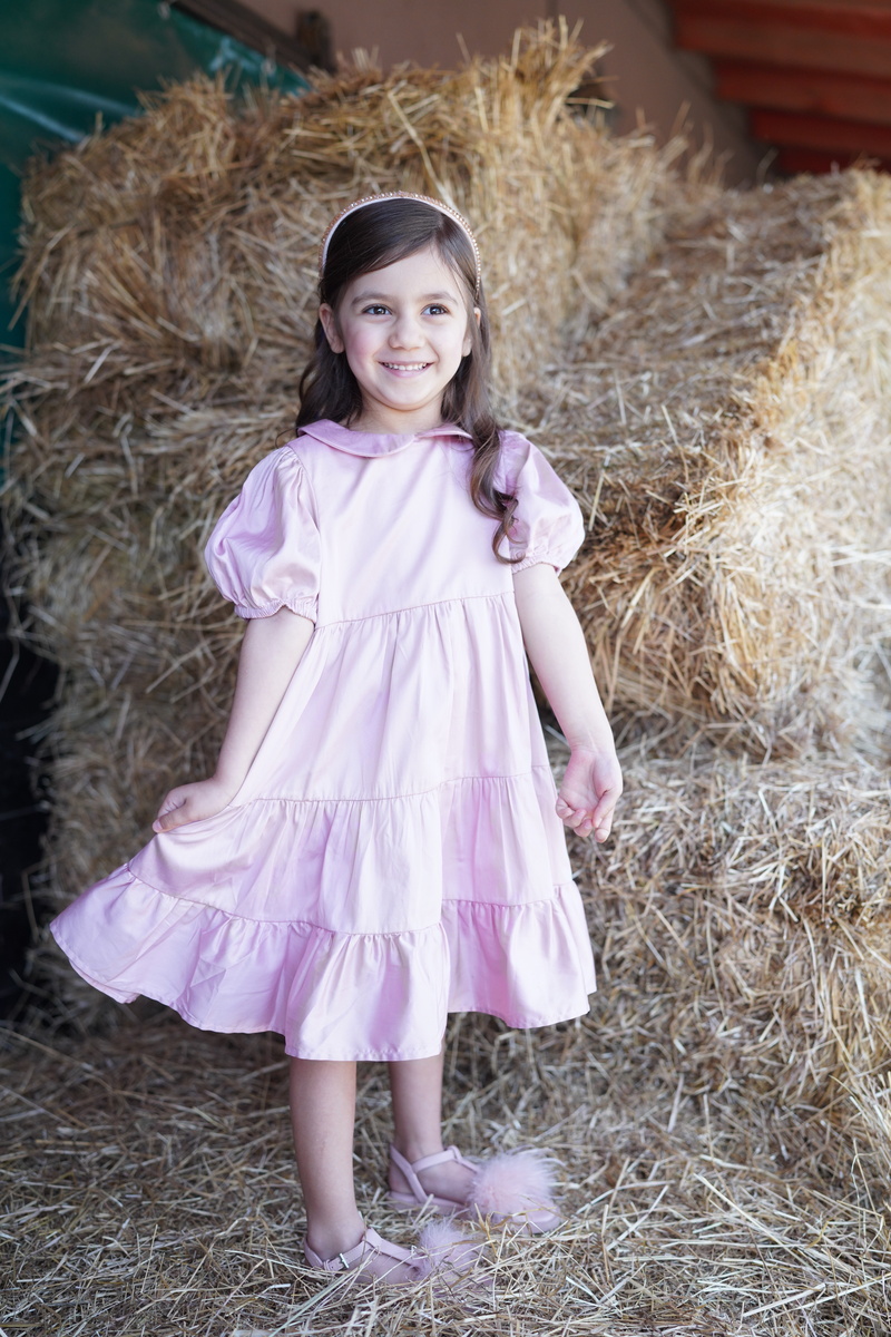 Emily Dress Pink 